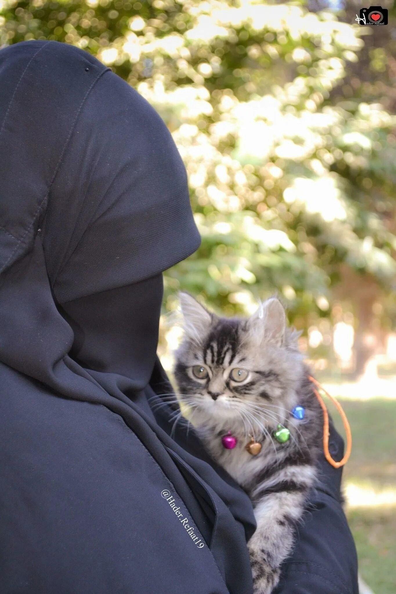 Мусульманский кот. Мусульманка с кошкой. Мусульманка с котенком. Кот в парандже. Мусульманские котята.