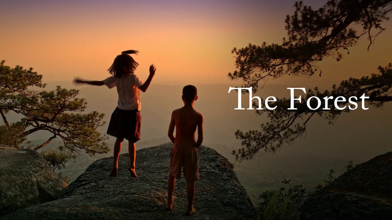 The were going the forest. Лес - Thai (the Forest, 2016) online. Лес фильм 2016 Таиланд. The Forest фильм. The Heart of the Forest фильм 2016.