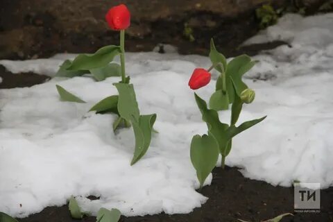 160 март
