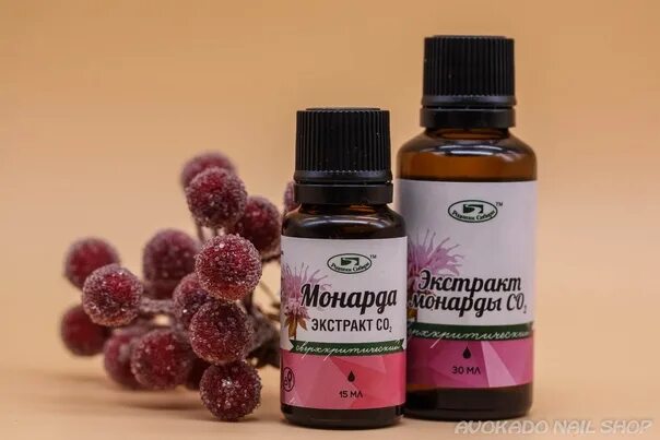 Масло монарды от прыщей отзывы. Экстракт монарды со2 купить в аптеке.