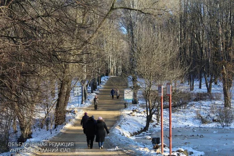 Бирюлевский дендропарк масленица