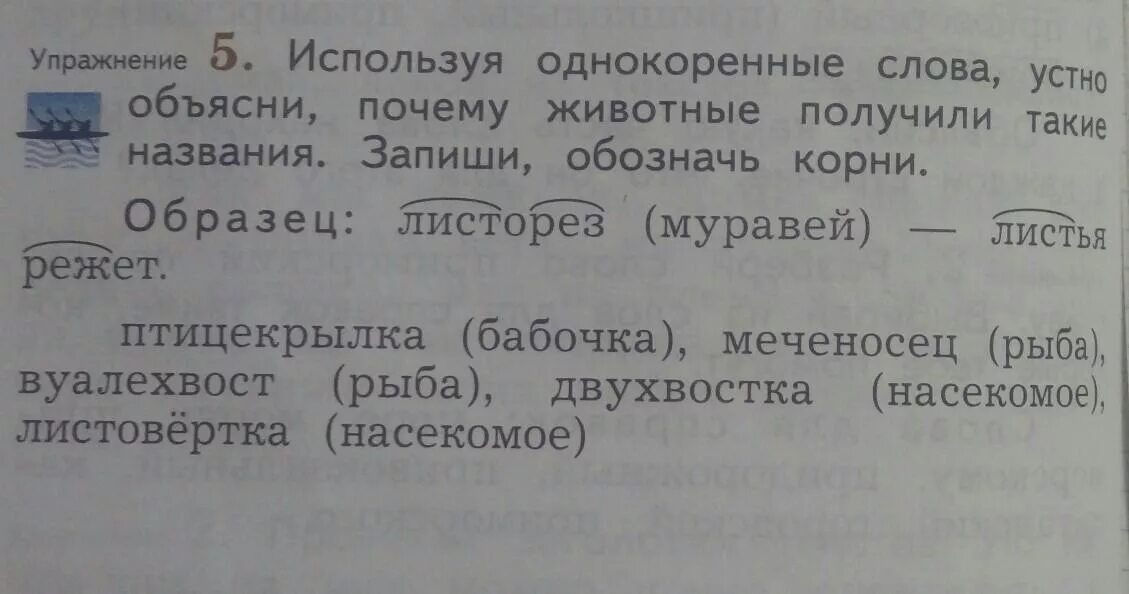 Подчеркни однокоренные слова обозначь корень. Однокоренные слова к слову устный. Запиши однокоренные слова. Используя однокоренные слова устно объясни. Рыба однокоренные слова.