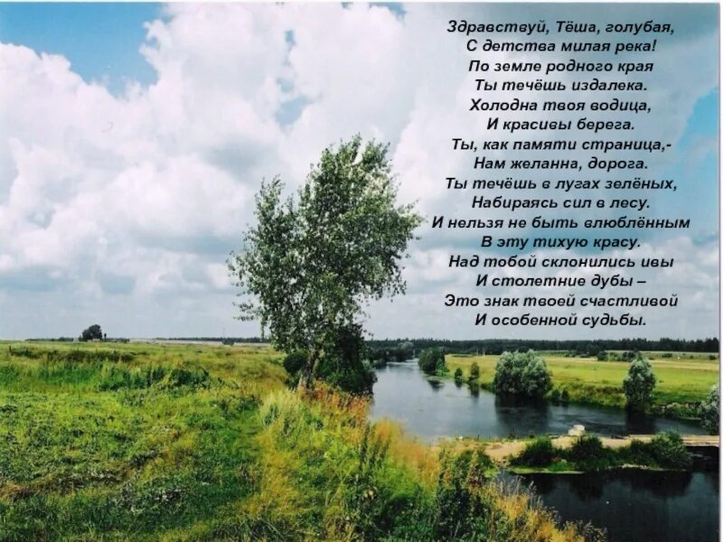 Стих родная земля. Стихотворение о красоте родного края. Стихи о родном крае. Стихи о красоте русской земли. Бывай родной край