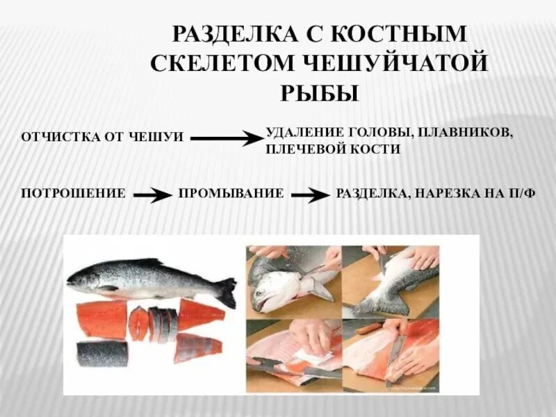 Обработка рыбы операции. Обработка рыбы с костно-хрящевым скелетом. Схема технологического процесса обработки рыбы с костным скелетом. Схема разделки рыбы с костным скелетом. Механическая кулинарная обработка рыбы схема.