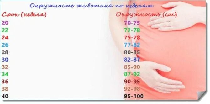 Окружность живота при беременности норма таблица Таблица расшифровка узи