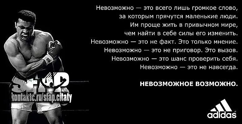 Лишь ниже. Цитаты великих бойцов. невозможное возможно. невозможное возможно мотивация. невозможно это всего лишь громкое слово.