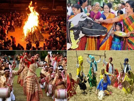 Holy Hindu Harvest Festival. Hindu Harvest Festival in India. Хинди фестиваль урожай. Картинка Hindu Harvest Festival. In northern india they harvest their