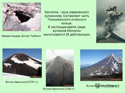 4 4 камчатка