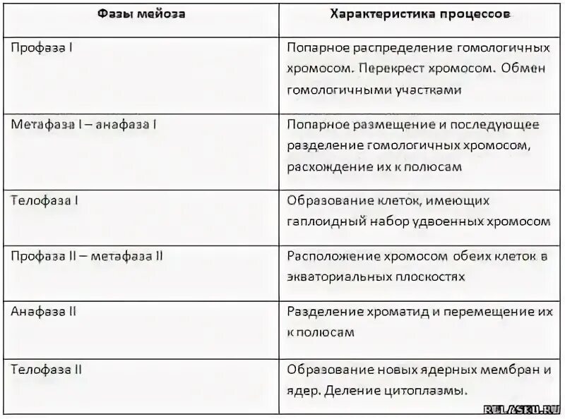 Характеристика фаз мейоза таблица. Описание фаз мейоза таблица. Мейоз фазы и процессы. Митоз таблица 10 класс биология. Заполните таблицу фазы мейоза.