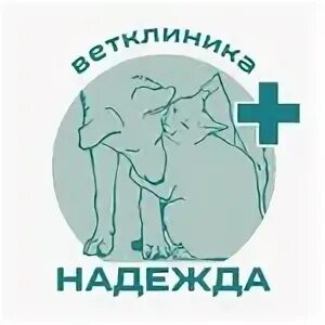 Первый ветеринарный центр отзывы