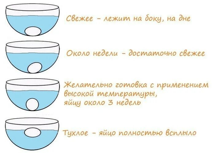 Почему всплывает яйцо в холодной. Определить свежесть яиц в воде. как проверить яйца на свежесть в домашних условиях в воде. проверка яиц на свежесть в воде домашних условиях. как определить свежее яйцо.