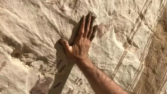 Шалово-перечицкий карьер лужские мальдивы. 7878767 30. 7878767 30. Часы 18:30. Лужские озера.