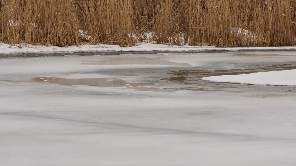 Уровень воды в урале на 10 часов. Лед на реке. Потемнел на речке лед. Лед темнеет на реке. Лед потемнел.
