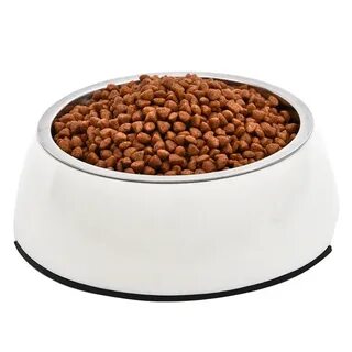 Миска с кормом
