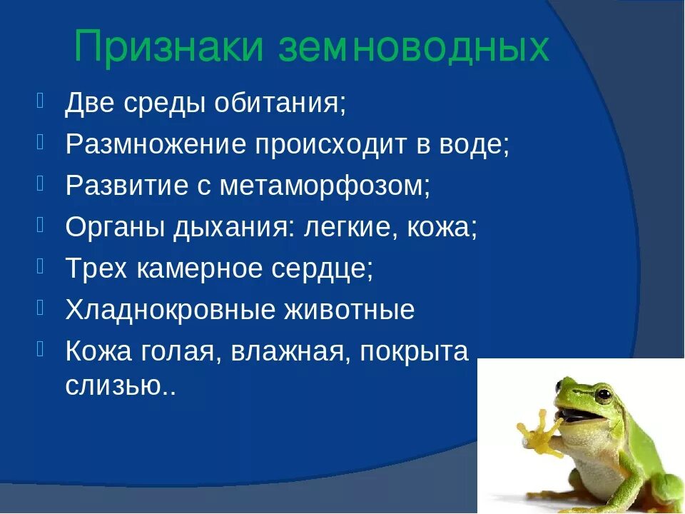 Приспособление лягушки к жизни. Характеристика класса земноводные или амфибии 7 класс биология. Биология 7 класс земноводные или амфибии. Конспект по биологии 7 класс земноводные или амфибии. Общая характеристика класса земноводных 7 класс биология.