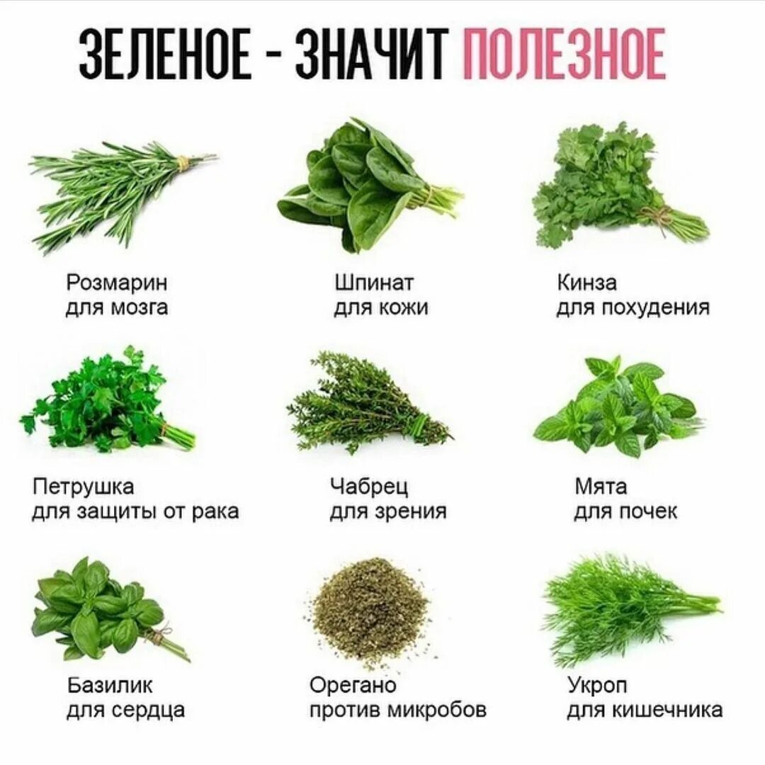 Сколько зелени есть в день. Шпинат кинза руккола. Сколько зелени есть в день. Полезные свойства зелени. Польза зелени.