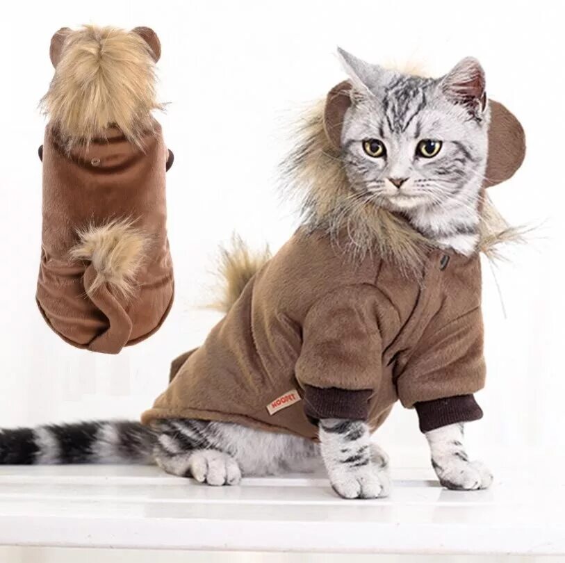 Кошка одевается