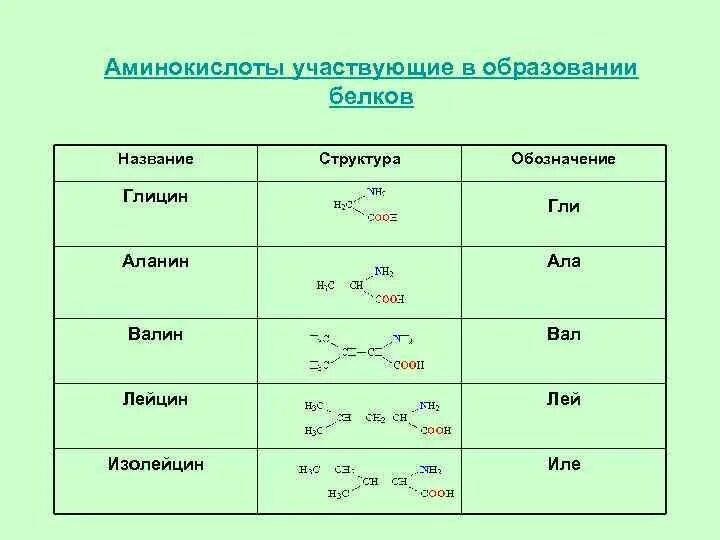 Количество белковых аминокислот. Аминокислоты участвующие в образовании белков. Амины аминокислоты белки. Аминокислоты участвующие в создании белков. Формулы белков и их названия.