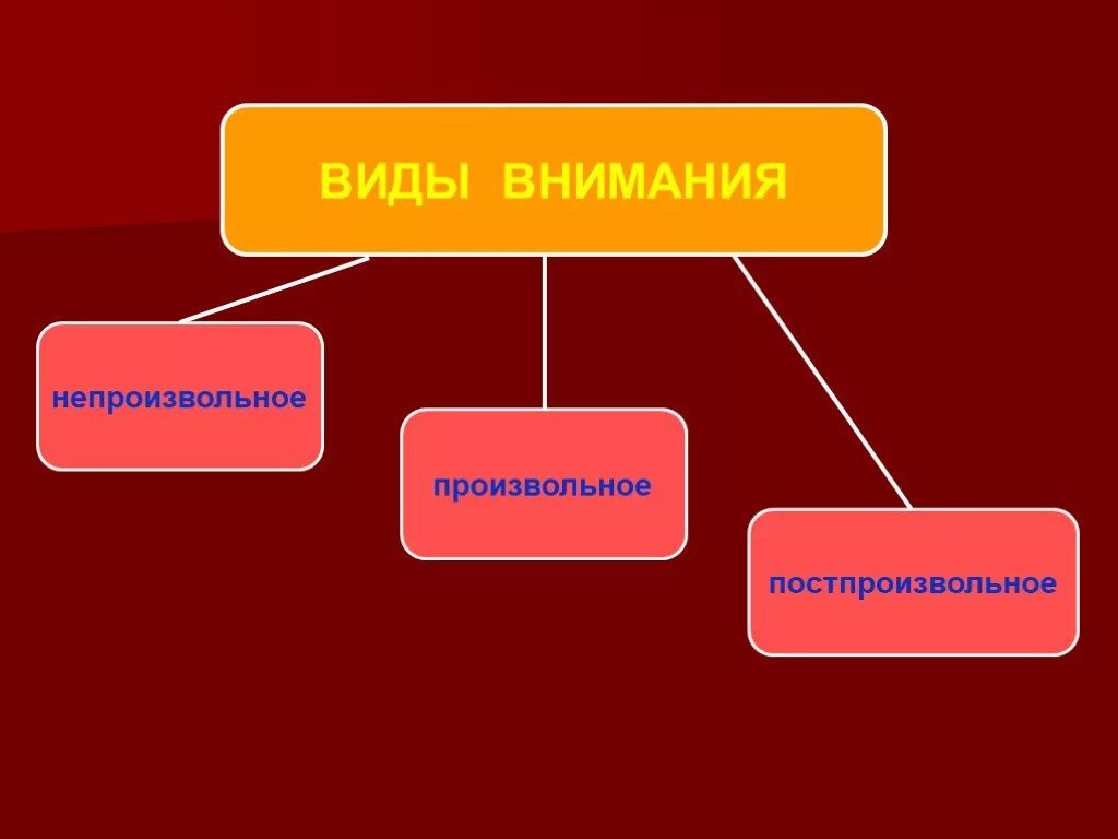 Элементы внимания. Виды внимания. Презентация на тему внимание. Виды произвольного внимания. Внимание в психологии.