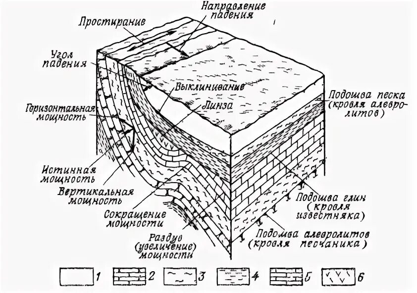 Основные элементы слоя. Элементы залегания пластов горных пород. элементы залегания слоя геология. элементы пласта геология. залегание осадочных горных пород – пласт.