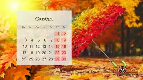 Октябрь 2022 часы