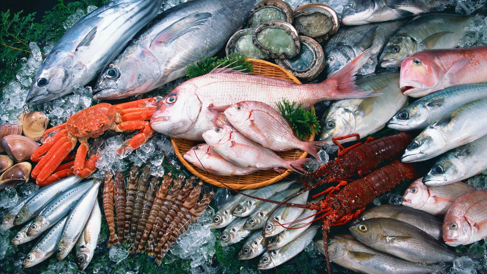 Красивые морепродукты. Рыба рыбная продукция. Свежая рыба в ассортименте. Реклама рыбы. Морепродукты на деревянном фоне.