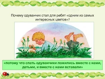 Рассказ одуванчики пришвин