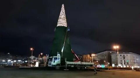 Ели мурманск