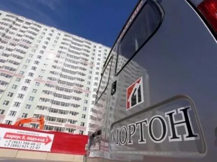 Мортон сити прогноз