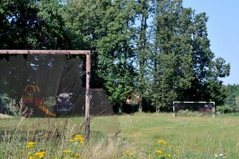 Д шишкино