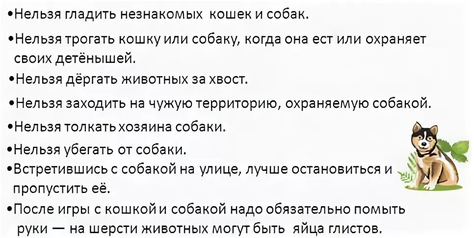Не даю гладить собаку. Почему нельзя гладить по голове. почему нельзя гладить собаку по голове. как погладить собаку.