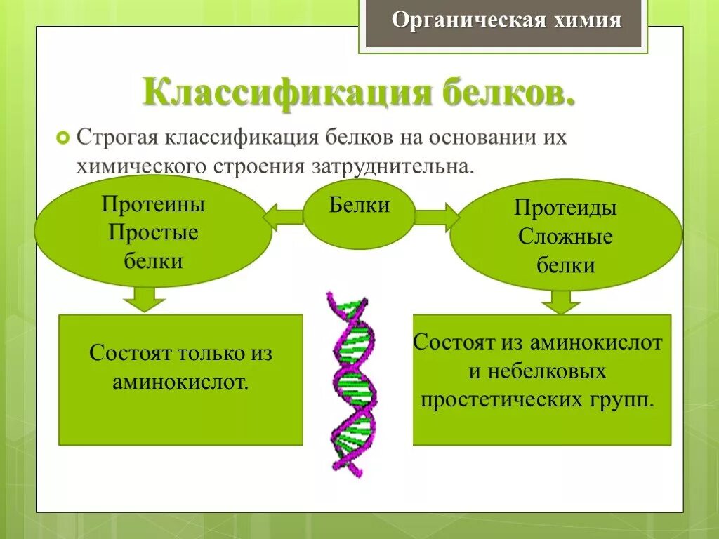 Белки химия. Белок органическая химия. Химические вещества белки. Белок презентация. Белки образующиеся соединения