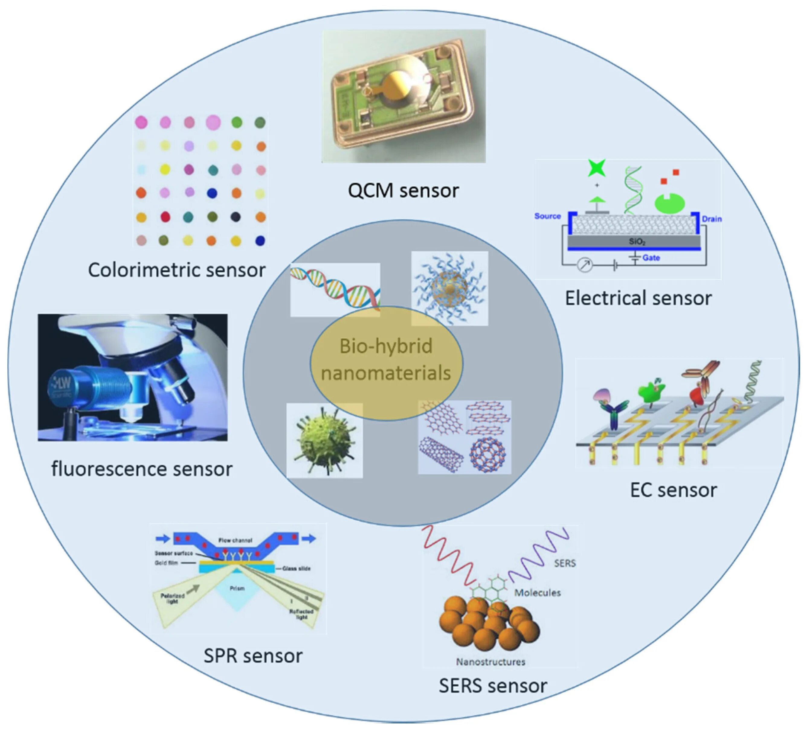 Sensor application. Application of sensors. hybrid nanomaterials. nanomaterials applications in medicine. areas of application of morpholine.