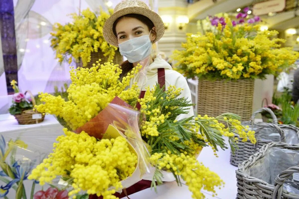 Где в москве будут раздавать цветы. ГУМ Мимоза.