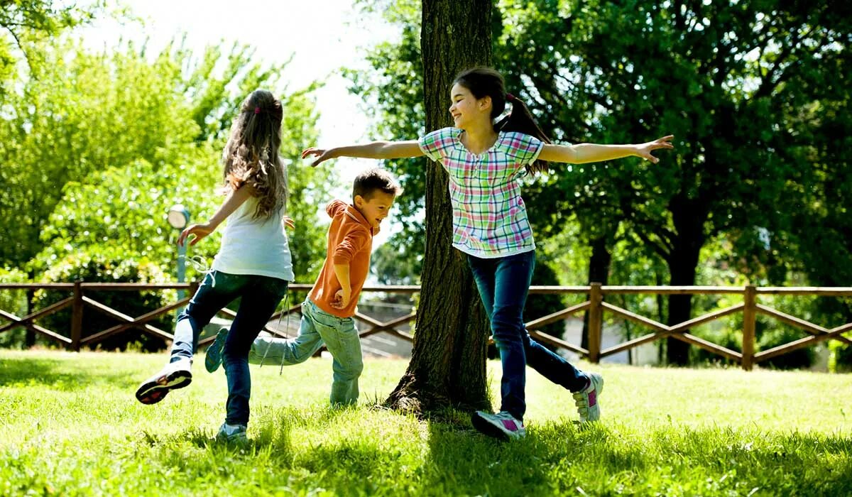 Children like to take. Дети играют на дереве. Дети играют под деревом. Ребенок играет на дереве, ломая его. Tree Play.
