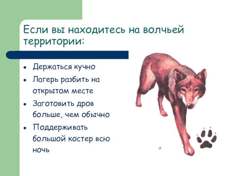 Обж встреча с дикими животными 8 класс. Безопасность при встрече с дикими животными. правила поведения при встрече с дикими животными. поведение при встрече с диким животным. обеспечение безопасности при встрече с дикими животными.