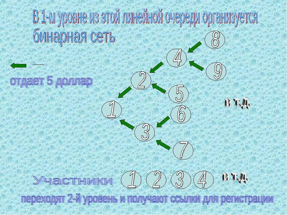 связь один к одному пример. бинарная система сетевого маркетинга. бинарные сети. связь многие к одному пример. план маркетинга млм бинар.