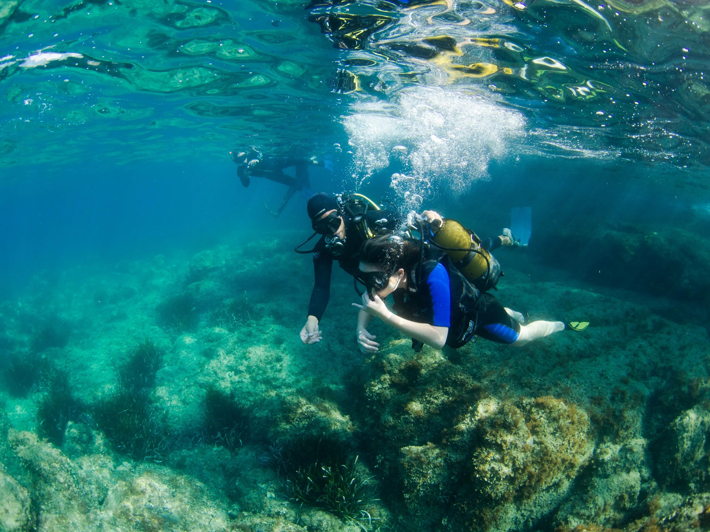 Reef tourism. Азорские острова дайвинг. Подводное плавание. Дайвинг в бассейне. Подводный мир Азорских островов.