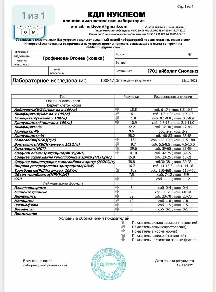 Общий анализ крови КДЛ. Результаты анализов. Результаты исследования крови. Биохимия крови КДЛ.