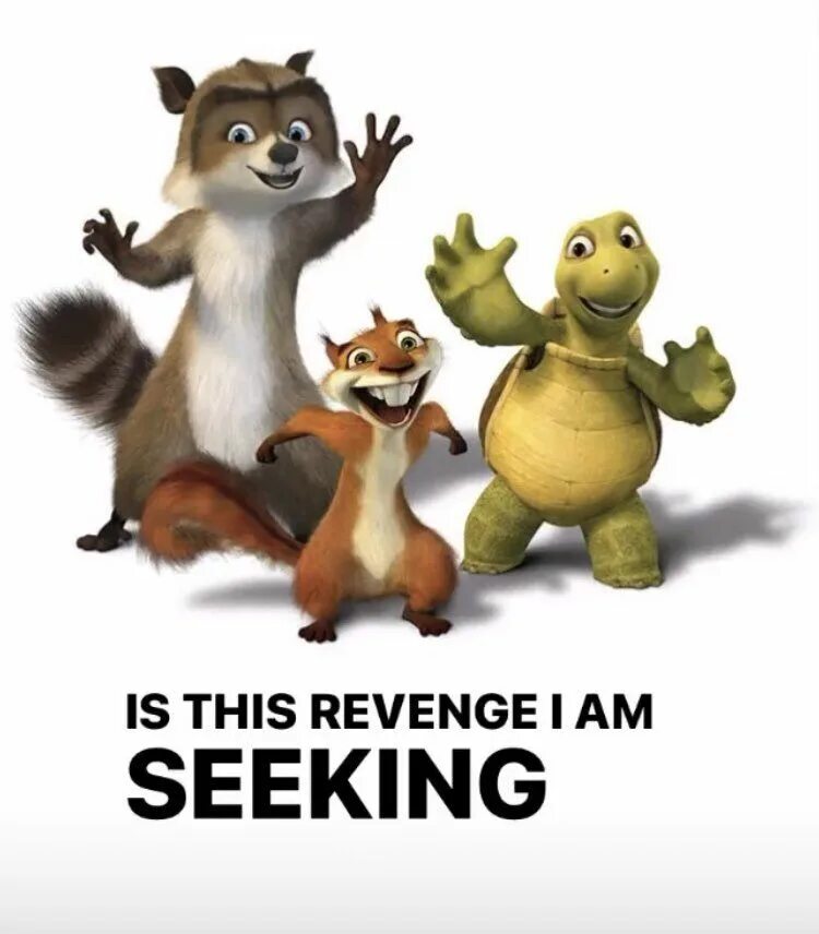 Черепаха белка. Черепаха белка