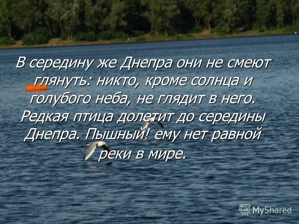 Редкая птица долетит до середины Днепра. «Редкая ... Долетит до середины Днепра!». Редкая птица долетит до середины Днепра поэма. Шевченко птица долетит до середины Днепра.. Редкая птица долетит до середины