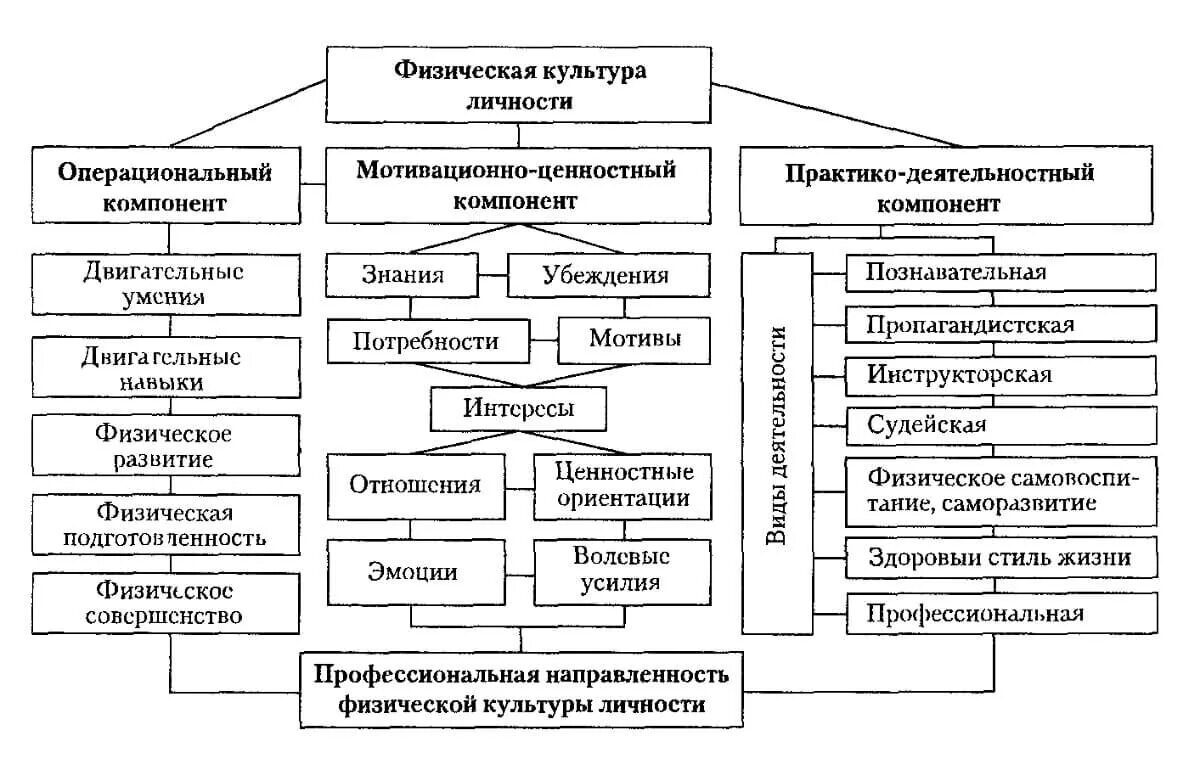 Компонент физического воспитания. Основные понятия физической культуры схема. Структура физической культуры личности. Структурные компоненты физической культуры личности. Структура физической культуры личности схема.