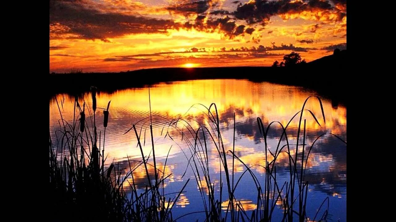 Гиф июльский вечер на урале. Как упоительны в россии вечера картинки с надписями. Открытки как упоительны в россии вечера. Воспитание девочки цитаты. Река сясь природа.