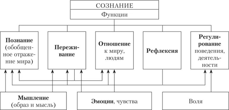 Функции сознания в психологии таблица. Основные функции сознания в философии. Схема основные функции сознания. Функции сознания в философии схема. Функции человеческого сознания