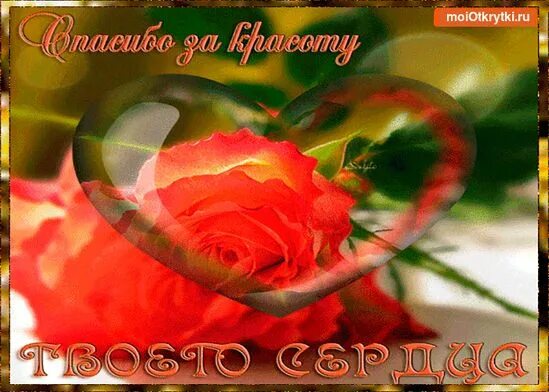 Спасибо милая и вам. Благодарю за теплоту. благодарю от всей души. благодарю за красоту открытки. спасибо за теплоту и доброту твоего сердца.