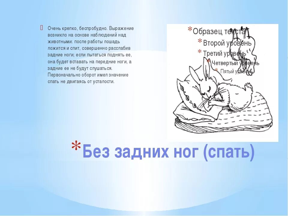 Пост спи что это значит. Выражение спать без задних ног. Без задних ног фразеологизм. Спать без задних ног фразеологизм. Спал без задних ног.