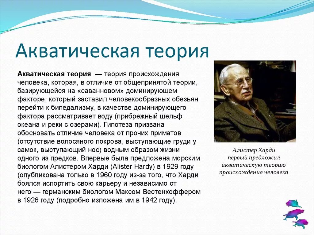 Великие гипотезы. Акватическая теория сторонники. Акватическая теория происхождения. Акватическая гипотеза происхождения человека. Акватическая теория происхождения человека сторонники.