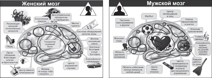 Мозг мужчин различия. Мозг мужчины. Мужской и женский мозг. Мозг мужчины и женщины. Мужской мозг и женский мозг.