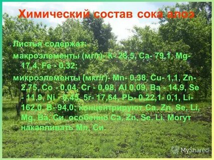 Хим состав сока