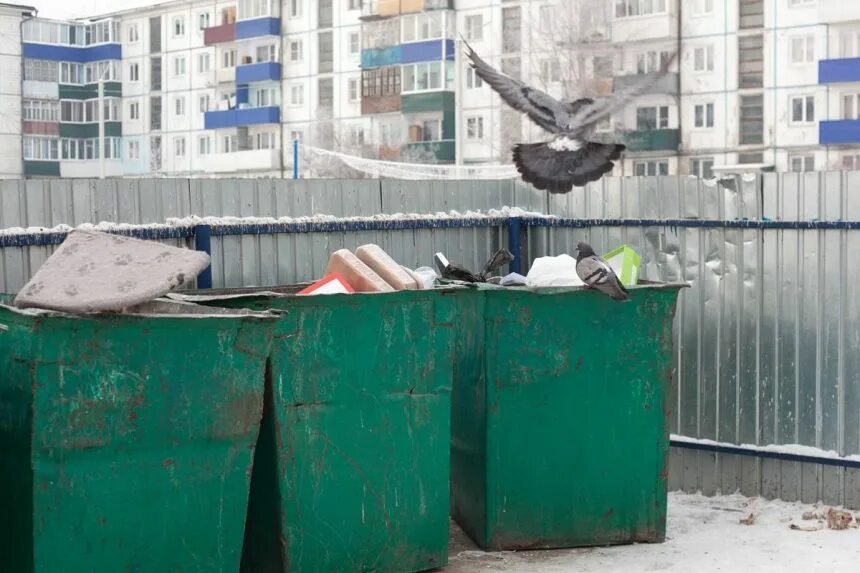 Елка на мусорке. Иркутска. Заплачу иркутск. Заплачу иркутск. Заплачу иркутск.